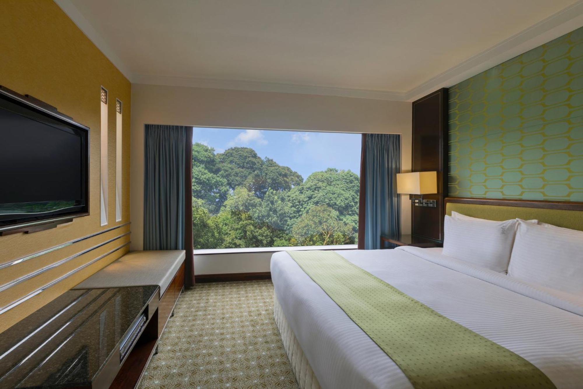 Standard Room,1705849861:JPEG
